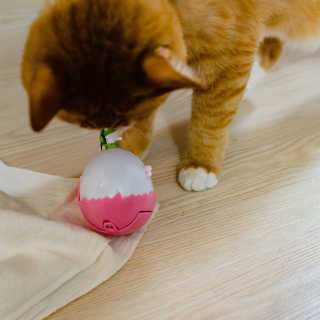 2019yaap님이 올린 리뷰 사진 1