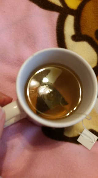 fellica님이 올린 리뷰 사진 3