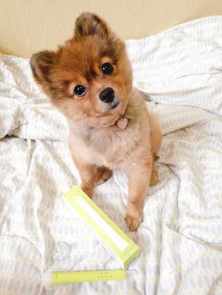 은선이짱님이 올린 리뷰 사진 1