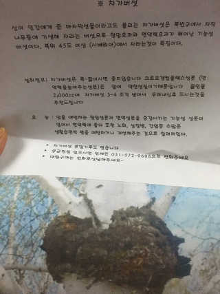 쿠키순대맘님이 올린 리뷰 사진 3