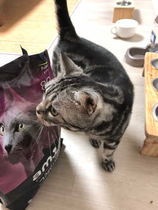 김소영님이 올린 리뷰 사진 1