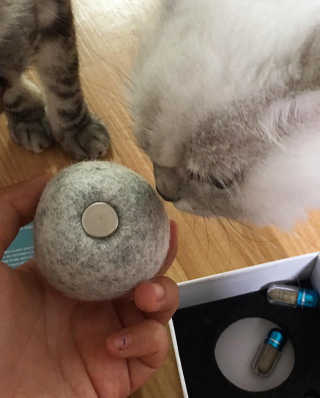 융융이님이 올린 리뷰 사진 2