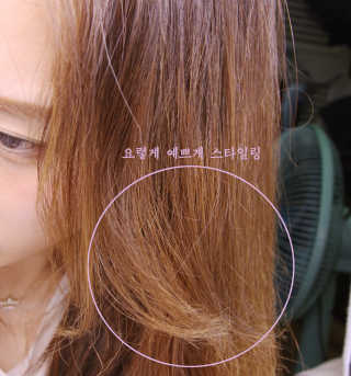 욤몽님이 올린 리뷰 사진 3