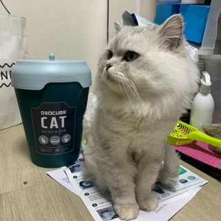 강혤님이 올린 리뷰 사진 3