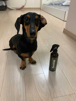 지코님이 올린 리뷰 사진 3