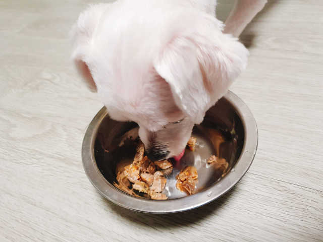 치즈썬 오리지널 그릴드 스테이크 리뷰 사진