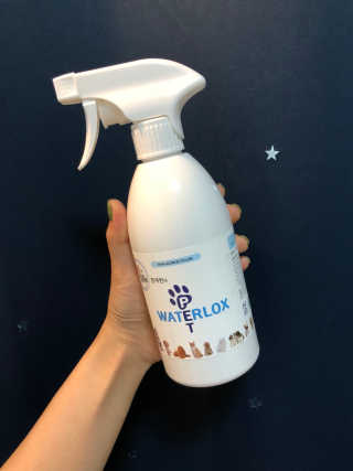 이쑤바리님이 올린 리뷰 사진 1