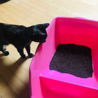 yallyyalla님이 올린 리뷰 사진 2