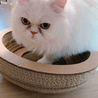 윤느님이 올린 리뷰 사진 2
