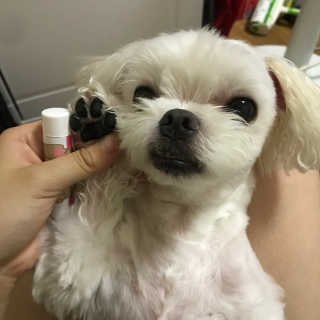sunnnyef님이 올린 리뷰 사진 2
