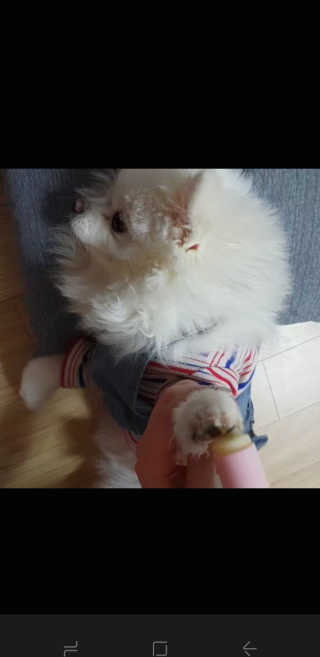 심준호님이 올린 리뷰 사진 2
