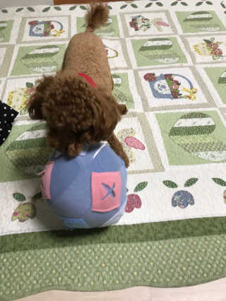 JungHyunKim님이 올린 리뷰 사진 3