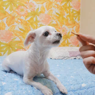 노다지님이 올린 리뷰 사진 3