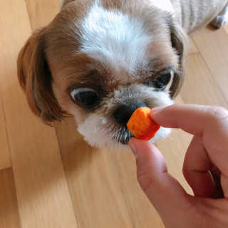 조아조아님이 올린 리뷰 사진 4