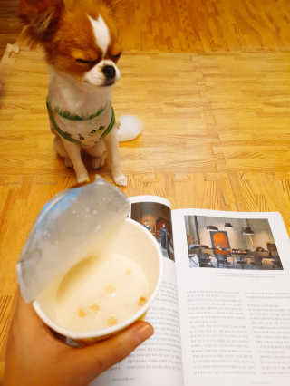꼬몽쓰님이 올린 리뷰 사진 2