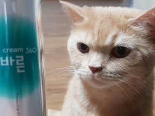 달님님이 올린 리뷰 사진 1