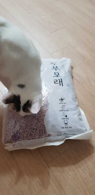 쭈하님이 올린 리뷰 사진 3
