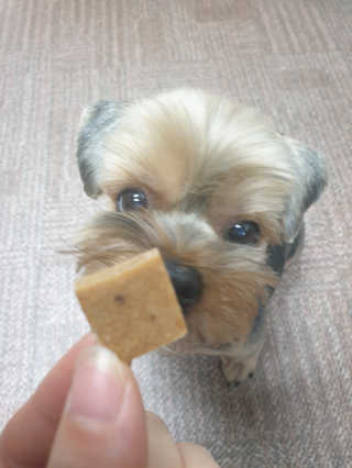 Rooloo님이 올린 리뷰 사진 3