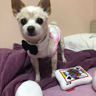 강수경님이 올린 리뷰 사진 3