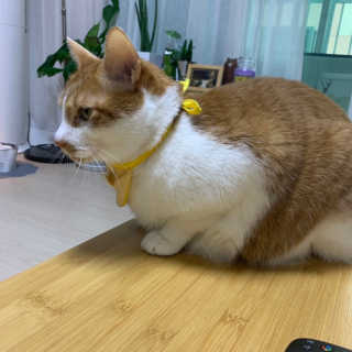 헬로샤샤님이 올린 리뷰 사진 3