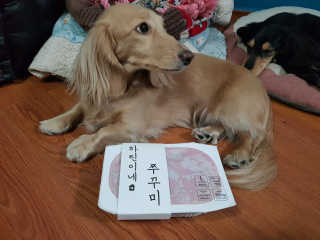 5_daks님이 올린 리뷰 사진 4