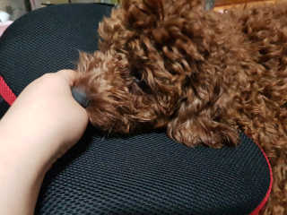 jin68님이 올린 리뷰 사진 1