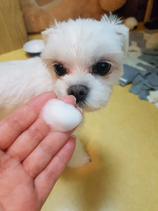 뽀오오옹님이 올린 리뷰 사진 1