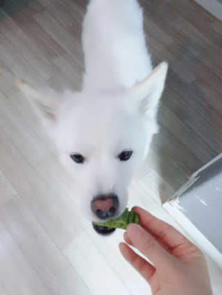 kay님이 올린 리뷰 사진 1