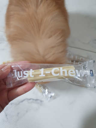 [펫토리아] 한입뚝딱 혼합 덴탈츄 Just 1-Chew — 5점을 준 리뷰어가 2020년 2월 올린 사용 사진