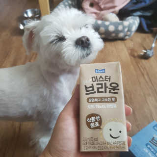헤이미스터브라운 [매일유업] 헤이 미스터브라운 12개입 — 5점을 준 리뷰어가 2019년 8월 올린 사용 사진