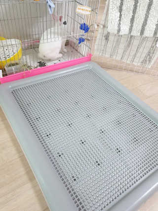 [펫토리아] 한판뚝딱 강아지 배변판 실속형,초대형 — 5점을 준 리뷰어가 2019년 6월 올린 사용 사진