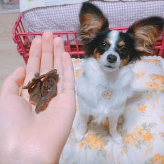 마법의성님이 올린 리뷰 사진 4
