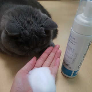 제트님이 올린 리뷰 사진 2