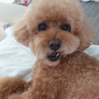 썰뇽님이 올린 리뷰 사진 4