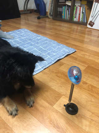 DaKeunSong님이 올린 리뷰 사진 3
