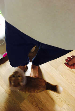 aria님이 올린 리뷰 사진 1