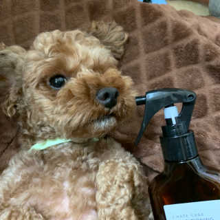 영주맘님이 올린 리뷰 사진 4