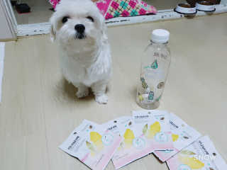 진짠님이 올린 리뷰 사진 1