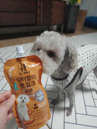 닥터할리펫밀크 8종 — 5점을 준 리뷰어가 2019년 11월 올린 사용 사진