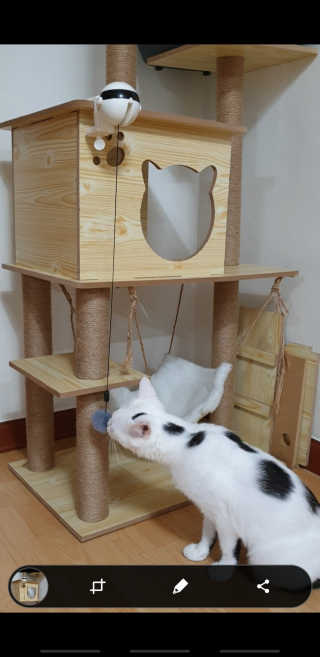 귀욤뽀짝센스쟁이님이 올린 리뷰 사진 3