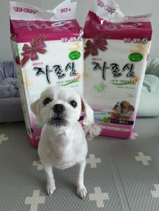 뽀야님이 올린 리뷰 사진 3