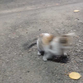 뚜뚜님이 올린 리뷰 사진 1