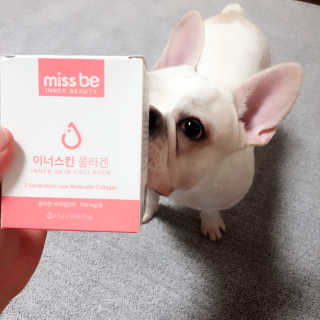 불독키우는개엄마❤️님이 올린 리뷰 사진 4