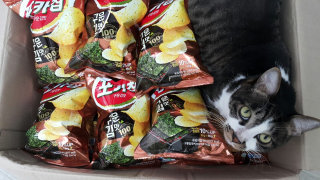 하늘이님이 올린 리뷰 사진 1