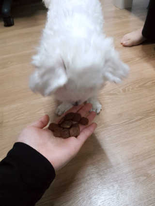 나니나니님이 올린 리뷰 사진 3