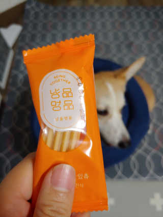 0814정똘님이 올린 리뷰 사진 2
