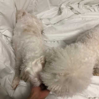 지아님이 올린 리뷰 사진 2