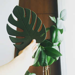 박민희님이 올린 리뷰 사진 1