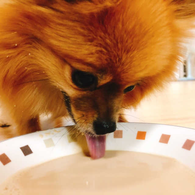 메디밀 DHA 리뷰 사진
