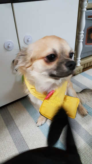 승아맘님이 올린 리뷰 사진 4